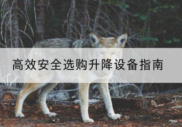 卫辉升降货梯厂家推荐-*安全选购升降设备指南