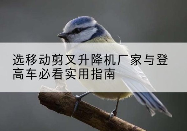 卫辉电动升降机厂家-选移动剪叉升降机厂家与登高车必看实用指南
